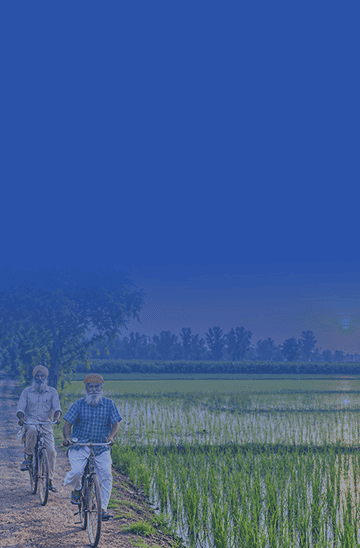 Business Loan in Punjab