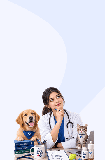 Personal Loan for Veterinarians