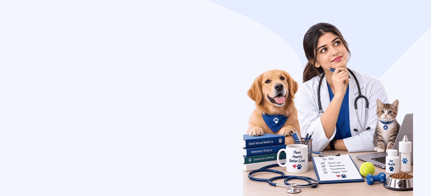 kissht-banner